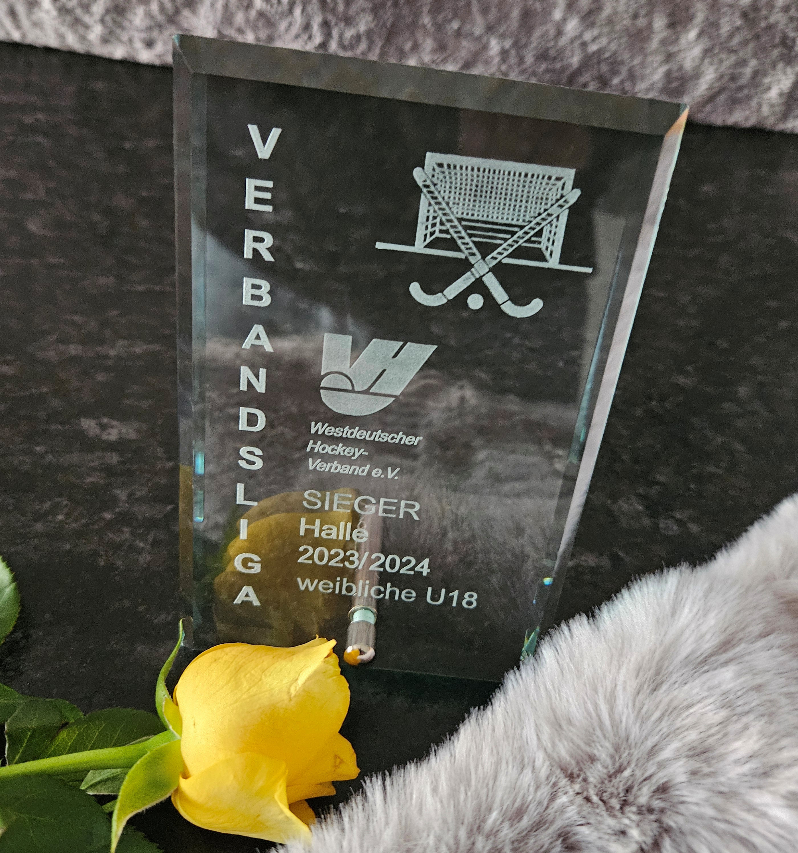 Sieger VL U18.jpg